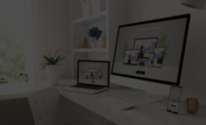 Web Design Services in Red Deer